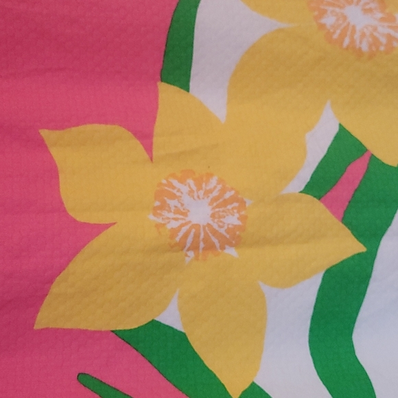 Lilly Pulitzer Dress 🌼🌷 - Picture 2 of 7